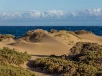 Spätnachmittagslicht an den Dünen bei Play del Inglés